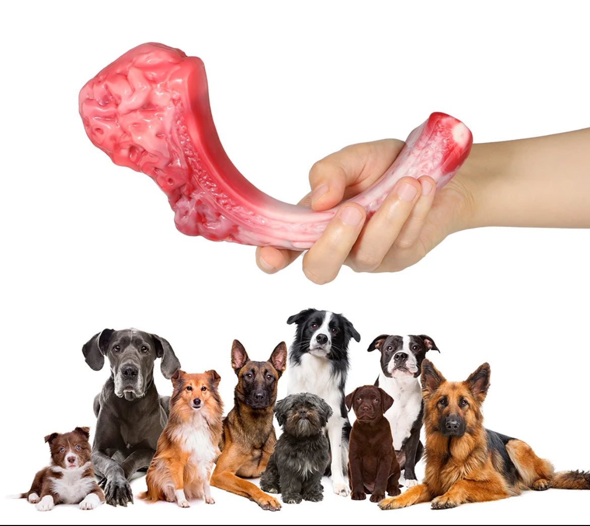 Steak Shape Beef Flavor Nylon Indestructible Dog Bone Chew Toy - Selzalot