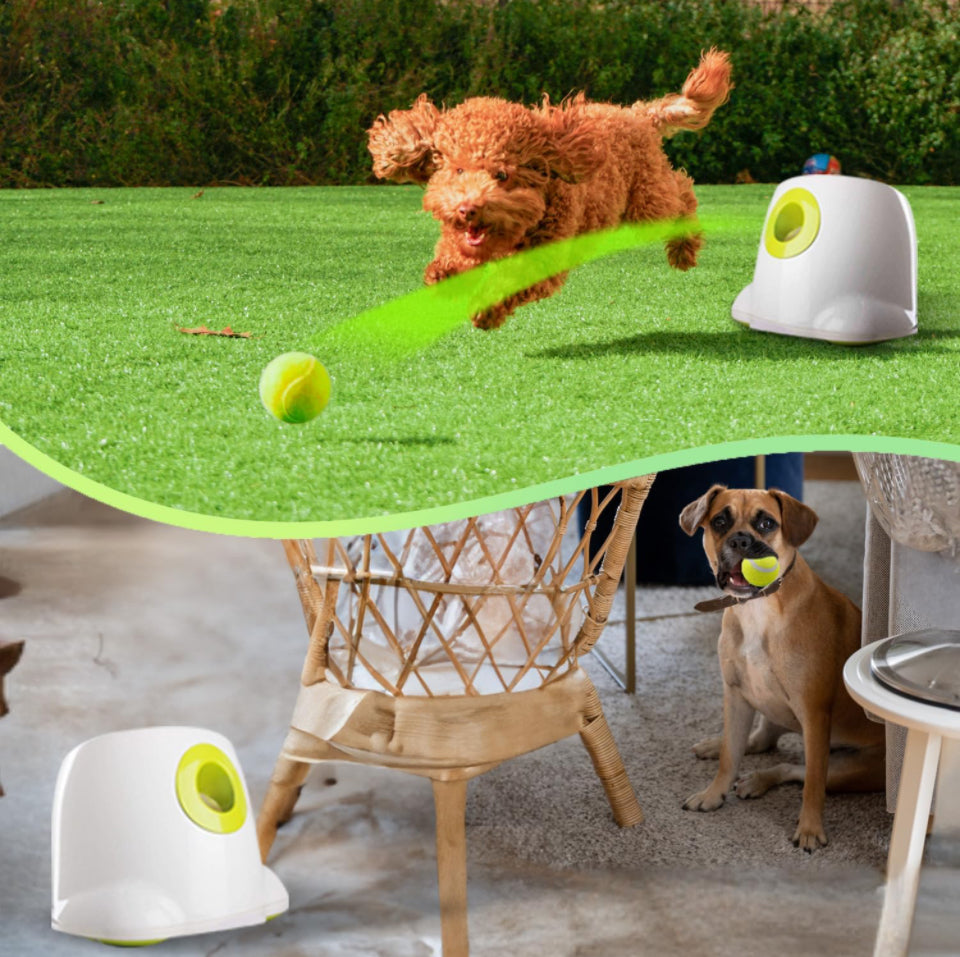 ALL FOR PAWS Dog Automatic Ball Launcher for Small and Medium Dogs, Dog Tennis Ball Throwing Machine, Dog Enrichment Toys for Boredom, 3 Balls Include